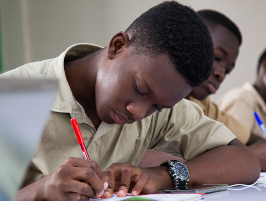 Thumbnail for the post titled: Education et Formation